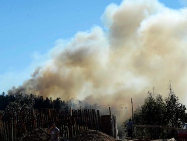 Dos de los tres incendios forestales activos en el territorio nacional afectan a Valparaíso