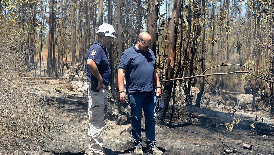 Fiscalía reconoce “hipótesis fuerte" acerca de la intencionalidad de incendios en Valparaíso