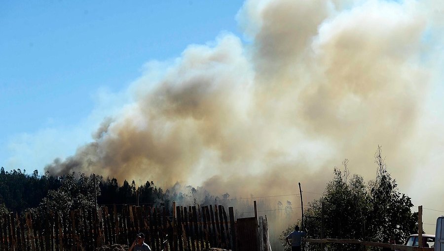 Dos de los tres incendios forestales activos en el territorio nacional afectan a Valparaíso