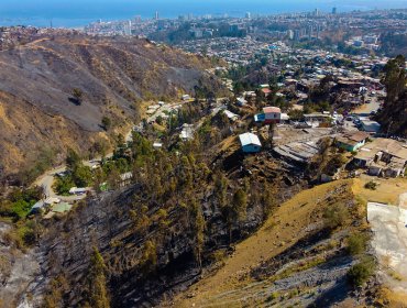 Equipos de emergencia logran controlar el incendio forestal de mayor magnitud en Valparaíso