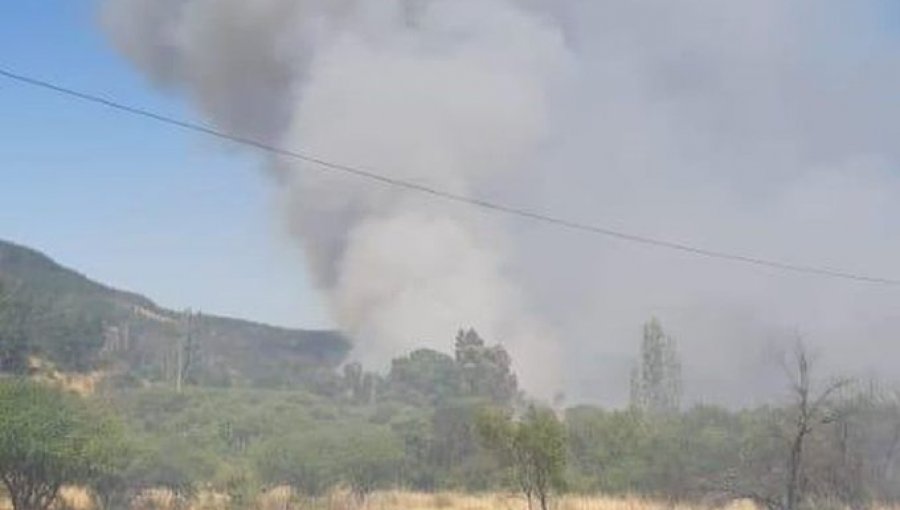 Incendio forestal en la comuna de San Javier ha consumido 60 hectáreas