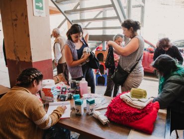 Continúa trabajo del centro de atención para animales afectados por incendio en Valparaíso