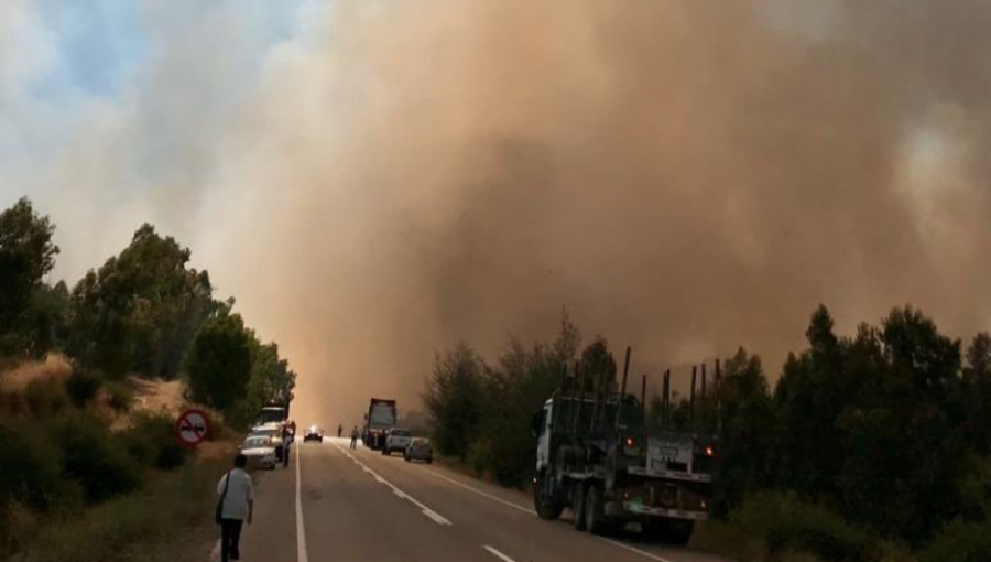 Declaran Alerta Roja en San Javier por incendio forestal que se acerca a zona poblada