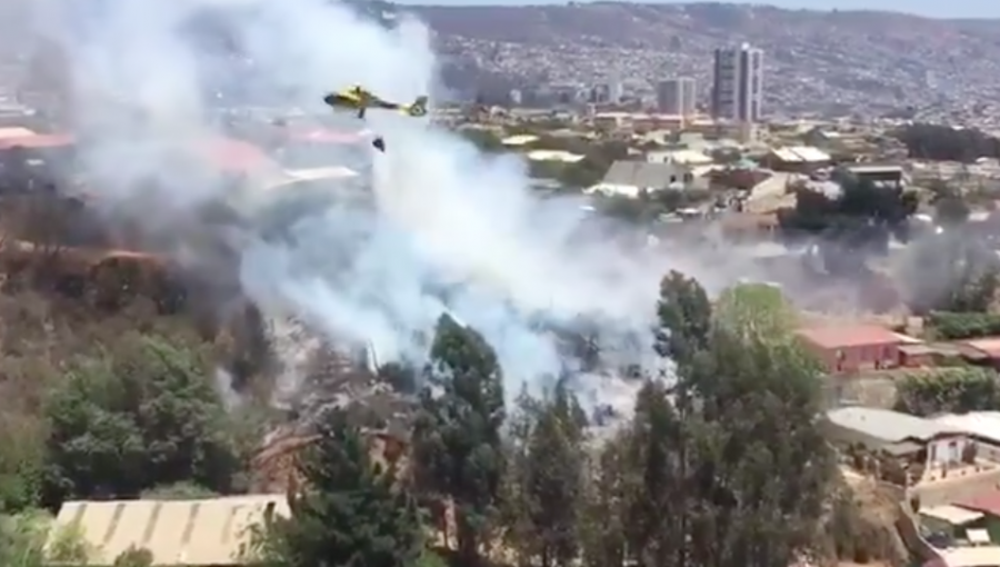 Logran controlar incendio forestal que amenazó a extensa zona residencial de Viña del Mar