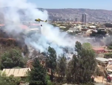 Logran controlar incendio forestal que amenazó a extensa zona residencial de Viña del Mar