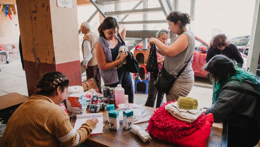 Continúa trabajo del centro de atención para animales afectados por incendio en Valparaíso