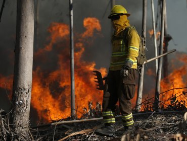 Alerta Roja en San Javier: Más de 80 hectáreas lleva consumido incendio forestal