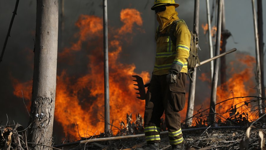 Alerta Roja en San Javier: Más de 80 hectáreas lleva consumido incendio forestal