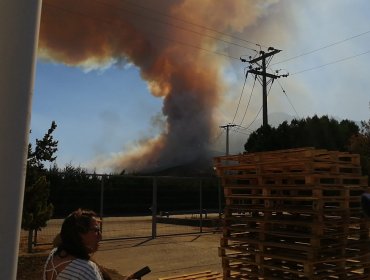 Declaran Alerta Roja para la comuna de Coltauco por incendio forestal cercano a sectores habitados