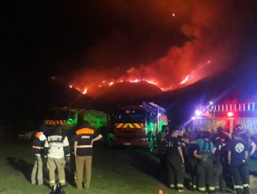 Incendio forestal en la comuna de Coltauco ha consumido 150 hectáreas