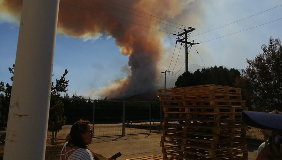 Declaran Alerta Roja para la comuna de Coltauco por incendio forestal cercano a sectores habitados