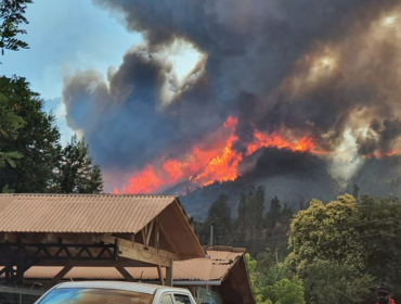 Conaf reporta cinco incendios forestales activos en el país: 20 fueron controlados