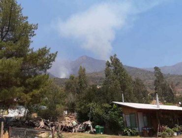 Extienden la Alerta Roja para Coltauco por incendio forestal que ha consumido más de 500 hectáreas