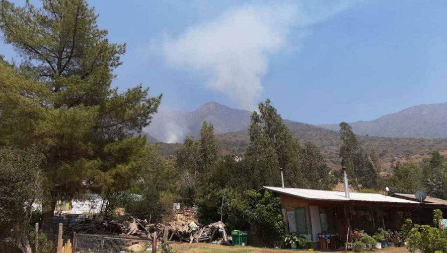 Extienden la Alerta Roja para Coltauco por incendio forestal que ha consumido más de 500 hectáreas