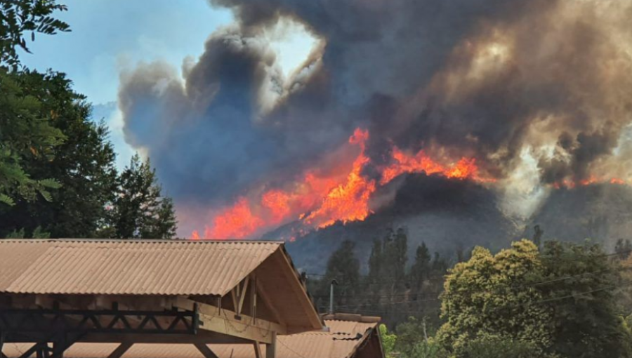 Conaf reporta cinco incendios forestales activos en el país: 20 fueron controlados