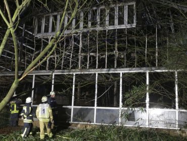 "Globos de los deseos" habrían provocado incendio que mató a todos los monos de zoológico alemán