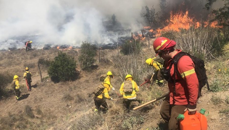 Este jueves 2 de enero comenzarán a regir nuevas exigencias de prevención de incendios en planes de plantaciones