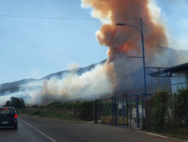 Seis incendios forestales se encuentran activos en el país: 18 fueron controlados