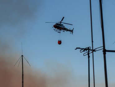 Controlan incendio forestal y Alerta Roja pasa a Amarilla en la comuna de Coltauco