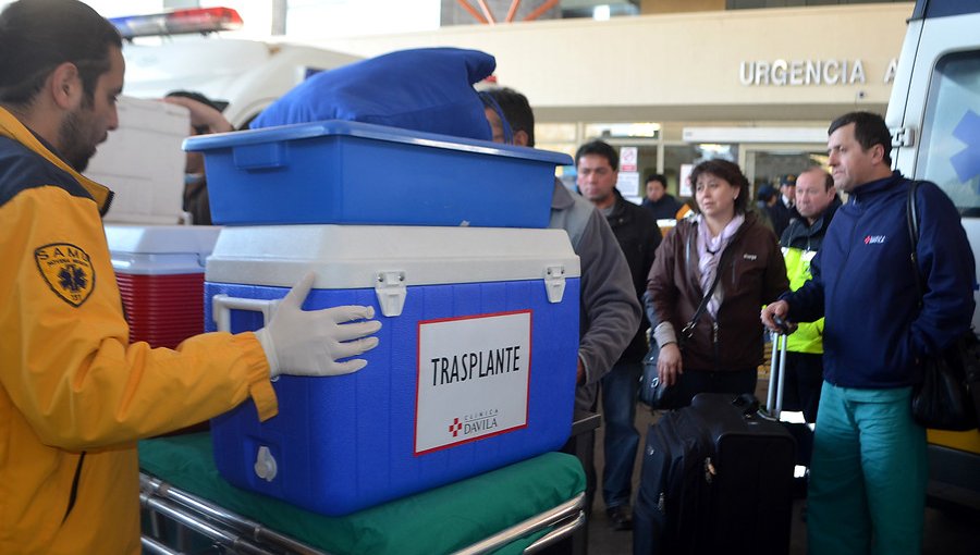 Chile alcanzó la cifra récord de 645 trasplantes de órganos durante el 2019