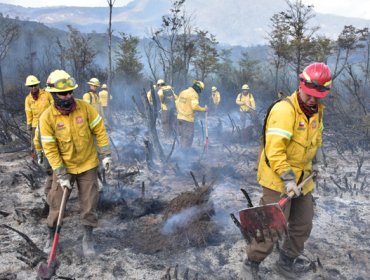 Seis de los 25 incendios forestales en el país se encuentran activos, según Conaf