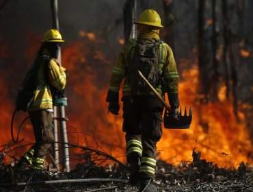 Sigue alerta roja en Laja por incendio forestal que arrasa con 750 hectáreas