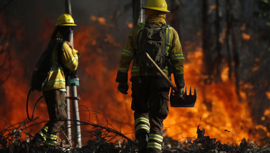 Sigue alerta roja en Laja por incendio forestal que arrasa con 750 hectáreas