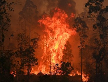 Nube de humo de los gigantescos incendios forestales en Australia llega a Chile