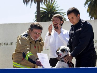 Corte Suprema ratifica decisión de la Municipalidad de Valparaíso de entregar explotación de parquímetros a Bomberos