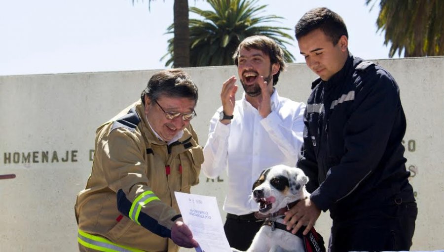 Corte Suprema ratifica decisión de la Municipalidad de Valparaíso de entregar explotación de parquímetros a Bomberos