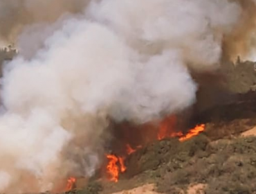 Declaran Alerta Roja para la comuna de Navidad por incendio cercano a sectores habitados