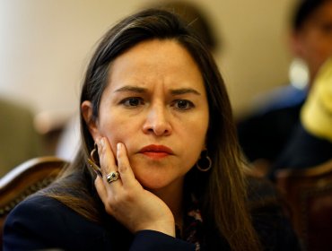 Diputada Joanna Pérez dice que Gobierno obstaculiza el regreso del voto obligatorio