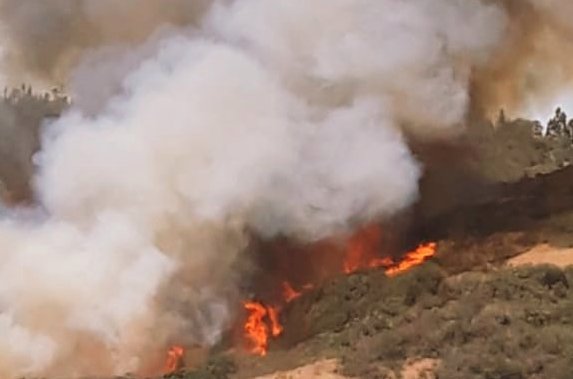 Declaran Alerta Roja para la comuna de Navidad por incendio cercano a sectores habitados