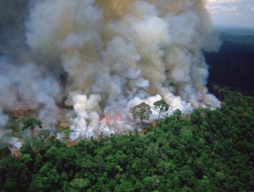 La Amazonía brasileña registró cerca de 90 mil focos de incendio durante el 2019