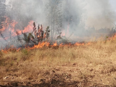 Mantienen Alerta Roja en Navidad por incendio forestal cercano a viviendas