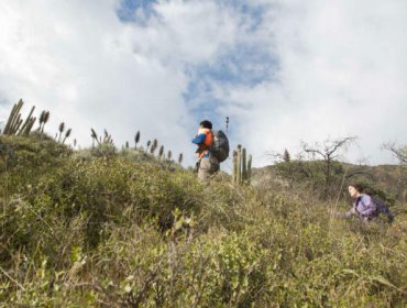 Turista falleció tras caer desde una altura de 60 metros en zona rural de Pucón