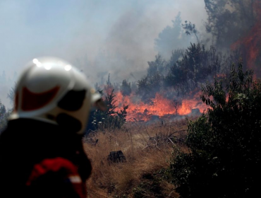 Nuevo foco de incendio forestal consume 8.000 metros cuadrados de pino en Laguna Verde