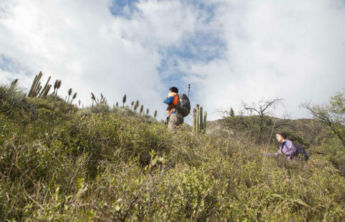 Turista falleció tras caer desde una altura de 60 metros en zona rural de Pucón