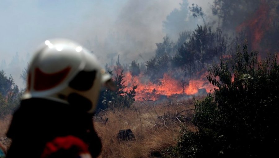 Nuevo foco de incendio forestal consume 8.000 metros cuadrados de pino en Laguna Verde