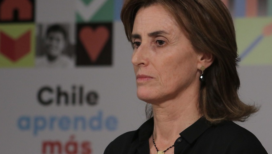 Ministra de Educación criticó ofrecimiento a vocero de la Aces de ingresar a la U. Austral sin PSU