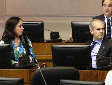 Renovación Nacional designó a sus nuevos jefe y subjefe de Comité en el Senado