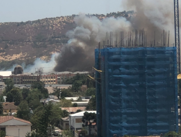 Declaran Alerta Roja para la comuna de Talca por incendio forestal cercano a viviendas