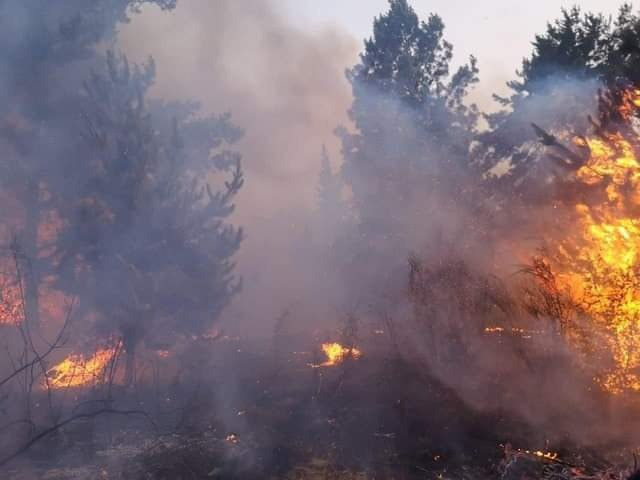 Incendios en Ñuble y Biobío obligan a cortar las rutas del Itata, la Madera y autopista Cabrero