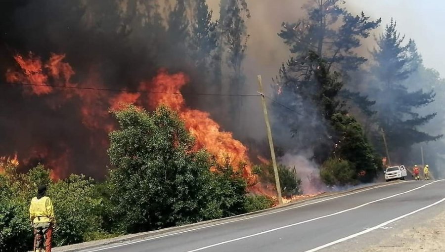 Por incendio forestal, evacuan sectores de Rinconada de Taboleo y La Maravilla en la comuna de Nacimiento