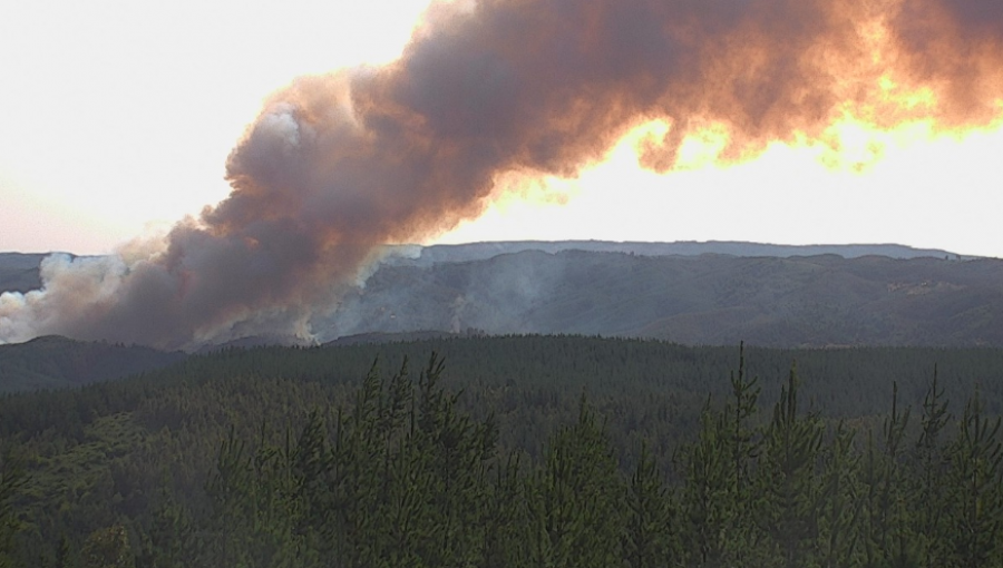 Alerta Roja para las comunas de Santa Juana, Cabrero y Nacimiento por incendios forestales