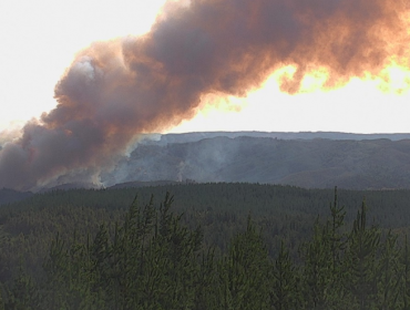 Alerta Roja para las comunas de Santa Juana, Cabrero y Nacimiento por incendios forestales