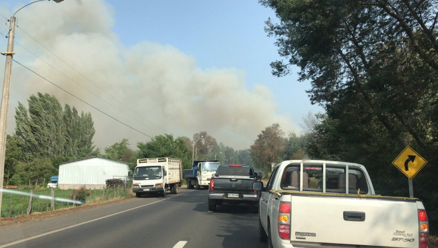 Declaran Alerta Roja para la comuna de Pinto por incendio forestal cercano a viviendas