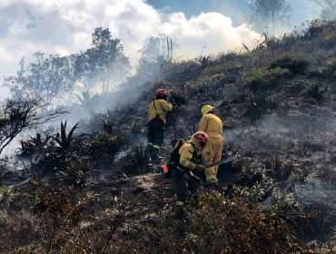 Más de 400 personas combaten gigantesco incendio forestal declarado en Ecuador