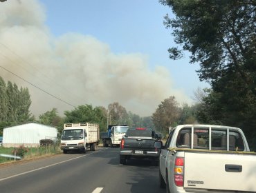 Declaran Alerta Roja para la comuna de Pinto por incendio forestal cercano a viviendas