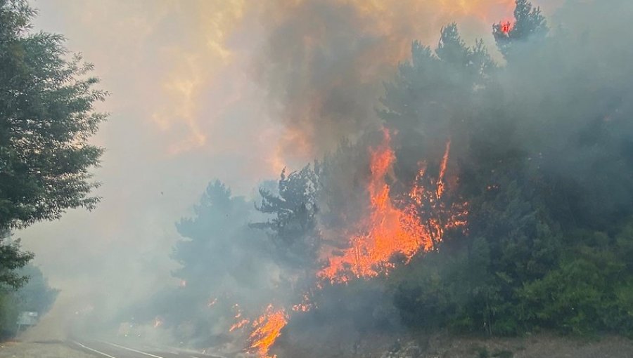 Nueve viviendas y más de mil hectáreas han sido consumidas por incendios en el Biobío